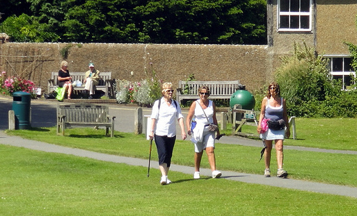 Walking Sticks